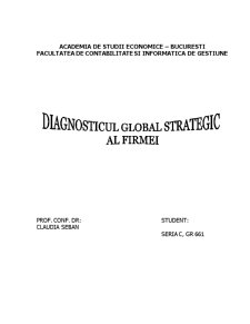 Diagnosticul Global Strategic al Firmei - Pagina 1