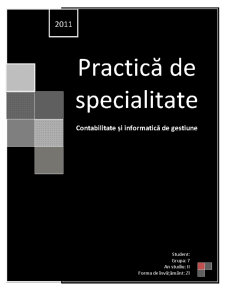 Practică de specialitate - contabilitate și informatică de gestiune - Pagina 1