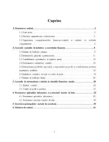 Practică de specialitate - contabilitate și informatică de gestiune - Pagina 2