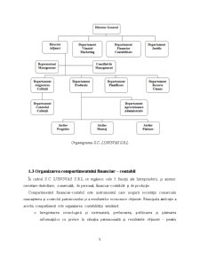 Practică de specialitate - contabilitate și informatică de gestiune - Pagina 5