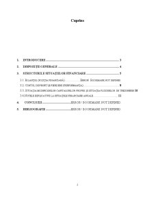 Situatii Financiare Conform Directivei a IV-a si IAS 1 - Pagina 2