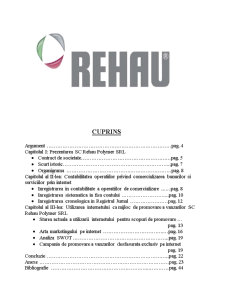 Prezentarea SC Rehau Polymer SRL - Pagina 1