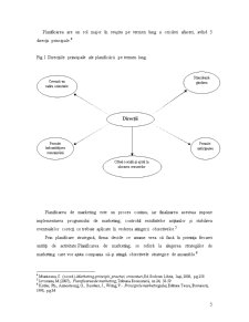 Planul de Marketing - O Abordare Teoretică - Pagina 5