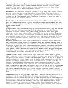 Biodiversitate Piatra Craiului - Pagina 4