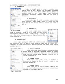Microsoft Word - proiect birotică - Pagina 4