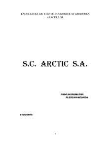 Analiza Firmei Arctic - Pagina 1