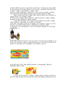 Marketingul mărcii - brand audit - Lipton - Pagina 4