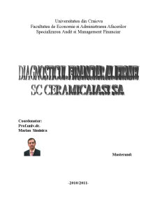 Diagnosticul financiar al firmei SC Ceramica Iași SA - Pagina 2