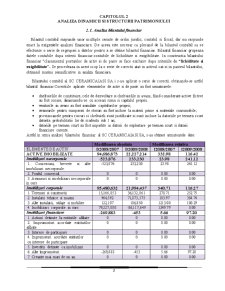 Diagnosticul financiar al firmei SC Ceramica Iași SA - Pagina 4