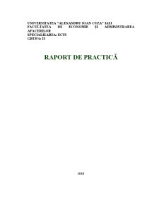 Raport practică management - SC Lidana Com SRL - Pagina 1