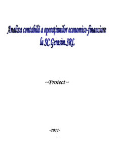Analiza contabilă a operațiunilor economico-financiare la SC Gerasim SRL - Pagina 1