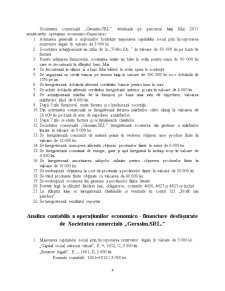 Analiza contabilă a operațiunilor economico-financiare la SC Gerasim SRL - Pagina 4
