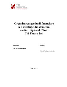 Organizarea gestiunii financiare la o instituție din domeniul sanitar. Spitalul Clinic Căi Ferate Iași - Pagina 1