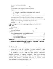 Organizarea gestiunii financiare la o instituție din domeniul sanitar. Spitalul Clinic Căi Ferate Iași - Pagina 3
