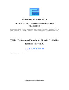 Performanța financiară a firmei SC Oltchim Râmnicu Vâlcea SA - Pagina 1