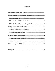 Diagnostic Financiar OMV Petrom - Pagina 2