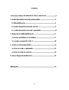 Diagnostic Financiar Rompetrol Well Services - Pagina 2