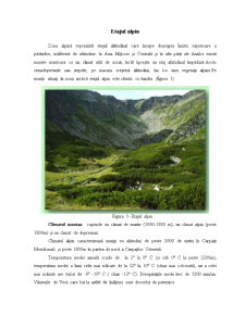 Etajul Alpin - Pagina 2