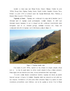 Etajul Alpin - Pagina 3