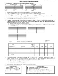 Analiza tranzacțiilor și funcționarea conturilor - Pagina 1