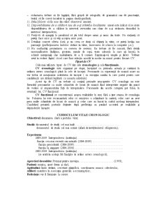 Curriculum-Vitae - instrument de autoprezentare - tipuri de Curriculum-Vitae - Pagina 2