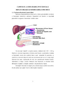Diagnosticul de laborator al afecțiunilor hepatice - Pagina 2