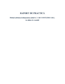 Raport de practică privind activitatea desfășurată în cadrul SC Car Consulting SRL - Pagina 1