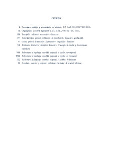 Raport de practică privind activitatea desfășurată în cadrul SC Car Consulting SRL - Pagina 2