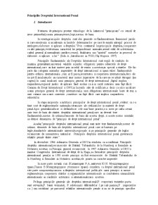 Principiile dreptului internațional penal - Pagina 1