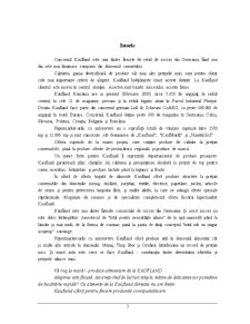 Comportament organizațional - Kaufland - Pagina 3