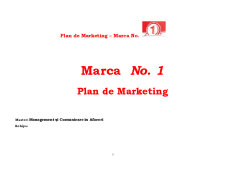 Planul de Marketing - Pagina 1