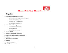 Planul de Marketing - Pagina 2