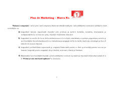 Planul de Marketing - Pagina 5