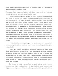 Efectele Contractului de Depozit - Pagina 3