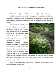 Conceptul de Edible Landscaping - Pagina 2