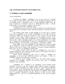 Bazele contabilității - Pagina 3