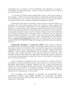 Reglementări și uzanțe internaționale - Pagina 4