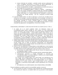 Normele de Audit Intern - Pagina 5