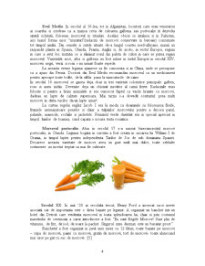 Tehnologia de obținere a sucului de morcovi - Pagina 4