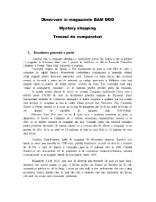 Mystery shopping și traseul de cumpărături în magazinele Bamboo - Pagina 1