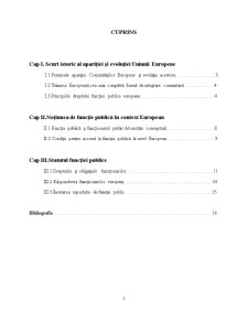 Funcția Publică Europeană - Pagina 2