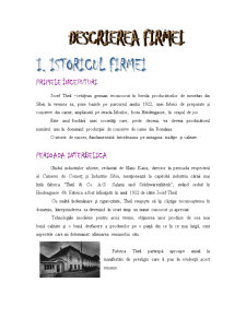 Scandia Sibiu - Pagina 4