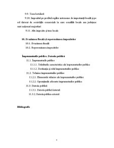 Finanțe Publice - Pagina 4