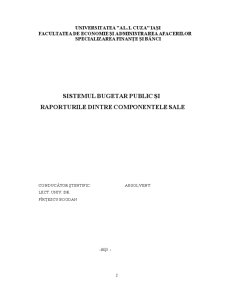 Sistemul Bugetar Public și Raporturile dintre Componentele Sale - Pagina 2