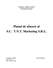 Planul de Afaceri al SC TNT Marketing SRL - Pagina 1