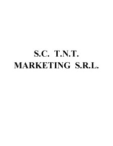 Planul de Afaceri al SC TNT Marketing SRL - Pagina 2
