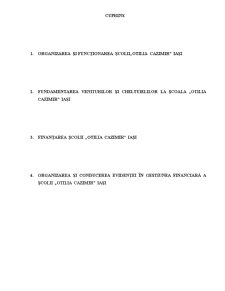 Gestiunea financiară a instituțiilor publice - Pagina 1