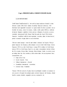 Analiza Bonității Firmelor la Credit Europe Bank - Pagina 4