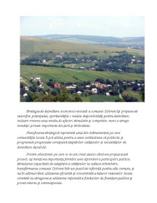Strategia locală de dezvoltare durabilă a Comunei Dobreni - Pagina 2
