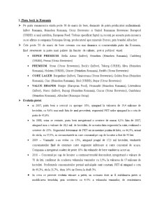 Brief pentru agenție - Ursus - Pagina 2